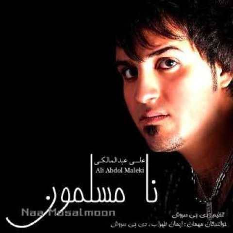 دانلود آهنگ جدید علی عبدالمالکی به نام مسافرم