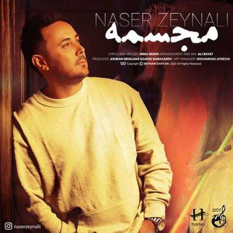دانلود آهنگ جدید ناصر زینعلی به نام مجسمه