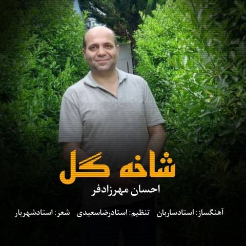دانلود آهنگ جدید احسان مهرزادفر به نام شاخه گل