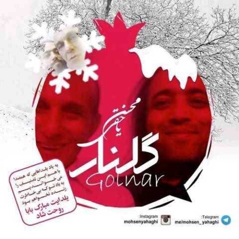 دانلود آهنگ جدید محسن یاحقی به نام گلنار
