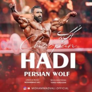 دانلود آهنگ محمد والی گرگ پارسی