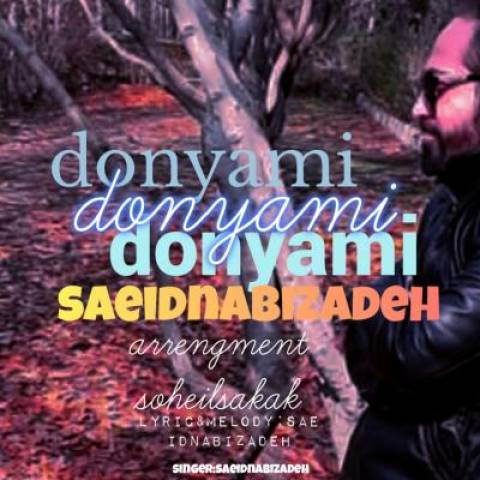 دانلود آهنگ جدید سعید نبی زاده به نام دنیامی