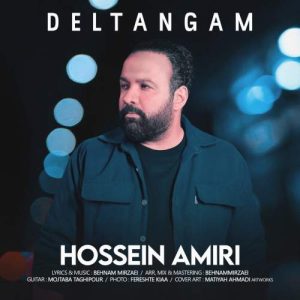 دانلود آهنگ حسین امیری دلتنگم