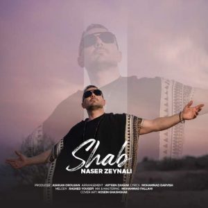 دانلود آهنگ ناصر زینلی شب