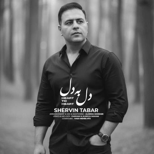 دانلود آهنگ جدید شروین تبار به نام دل به دل